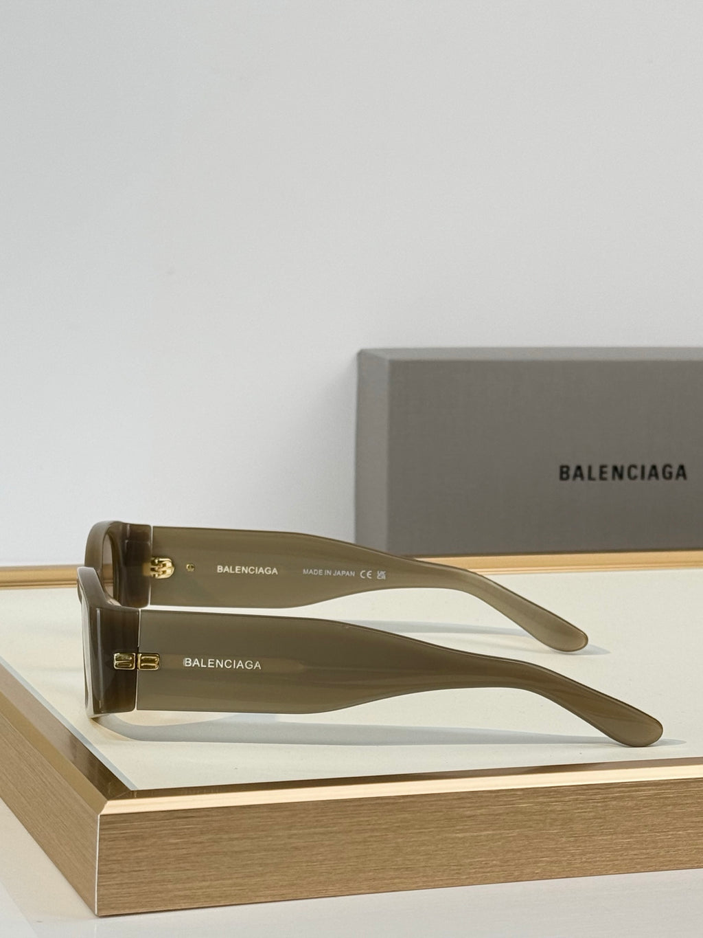Balenciaga BB0096S Rectangle Acetate Sunglasses