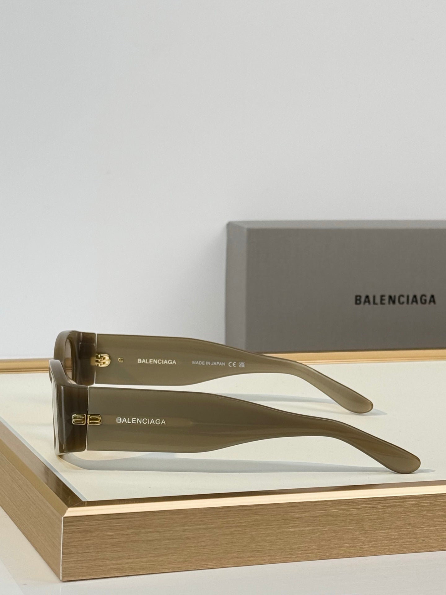 Balenciaga BB0096S Rectangle Acetate Sunglasses