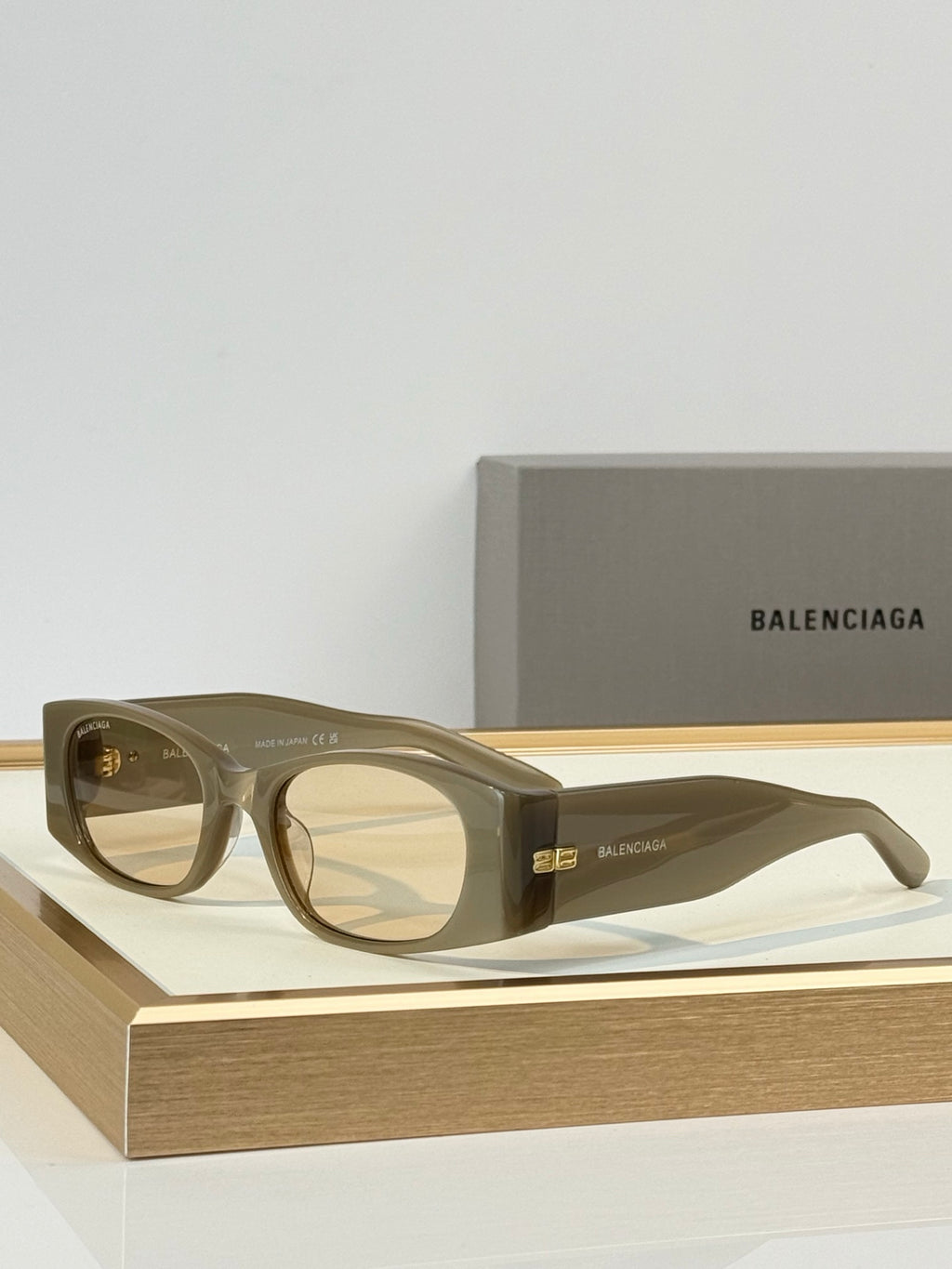 Balenciaga BB0096S Rectangle Acetate Sunglasses