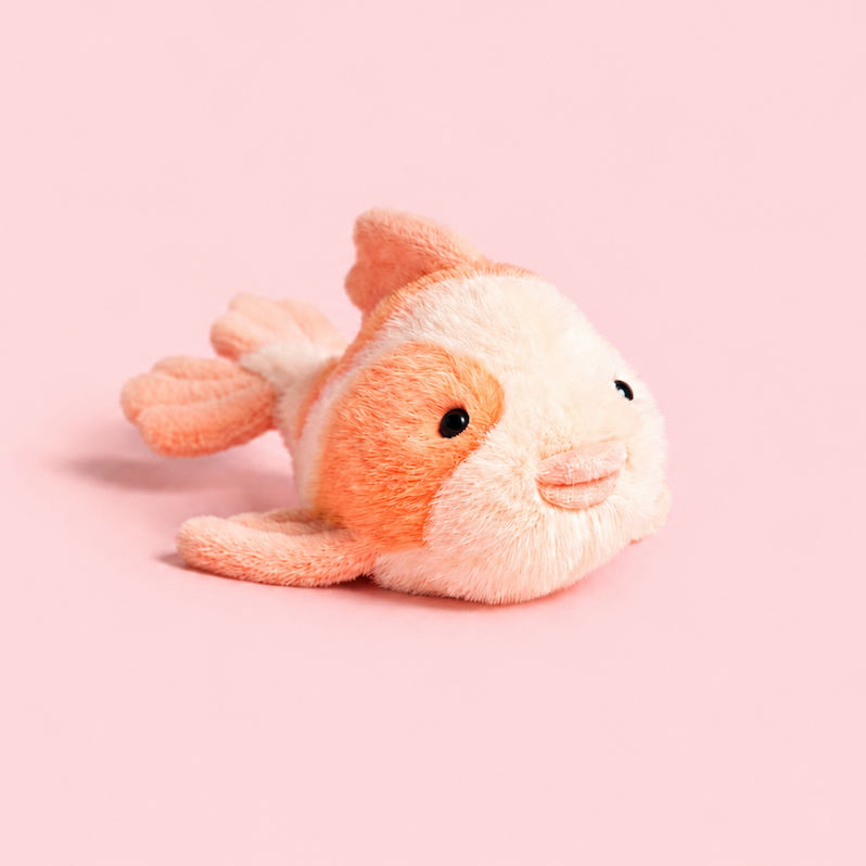 Fancy Carp