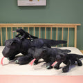 Baja the Adorable Black Komodo Dragon Plush Toy