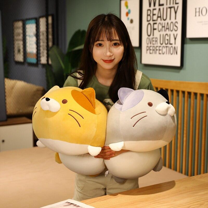 Chubby Cat Squad