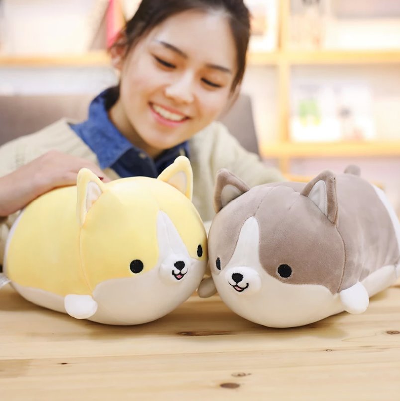 Corgi Cuddle Buddies