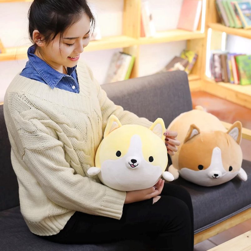 Corgi Cuddle Buddies