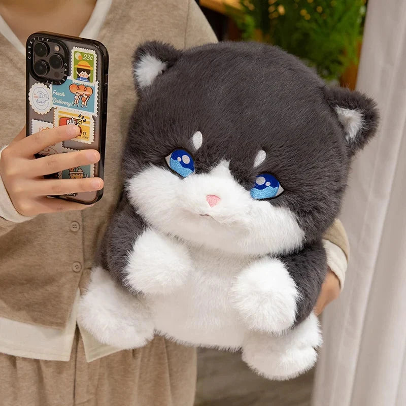 Cute Chubby Gray Ginger Cat Plushies