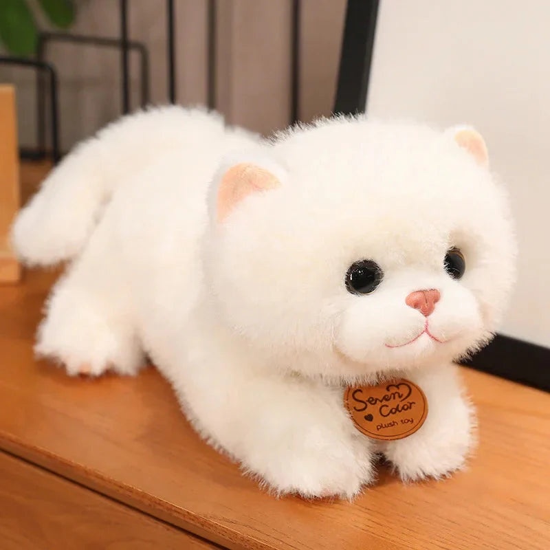 Adorable Fluffy Kitten Squad Cuddly Plush Toys