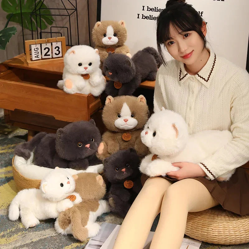 Adorable Fluffy Kitten Squad Cuddly Plush Toys