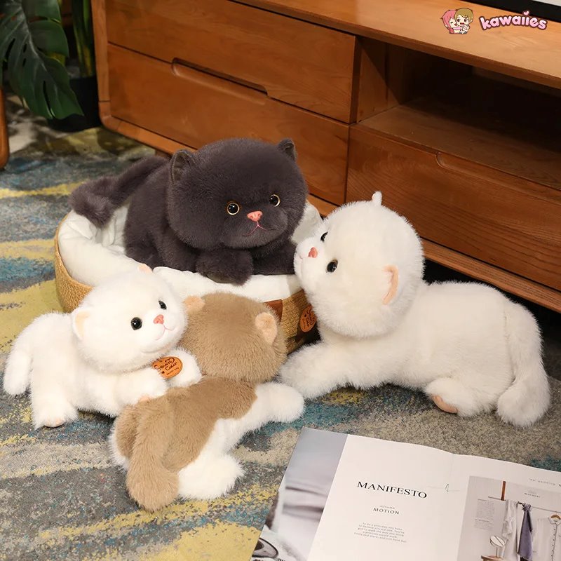 Adorable Fluffy Kitten Squad Cuddly Plush Toys