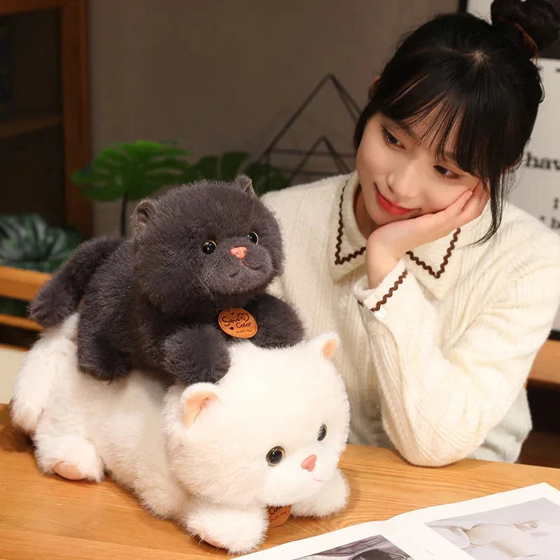 Adorable Fluffy Kitten Squad Cuddly Plush Toys