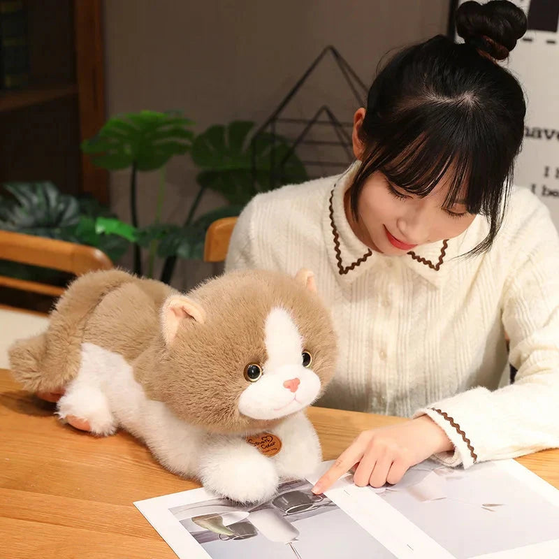 Adorable Fluffy Kitten Squad Cuddly Plush Toys