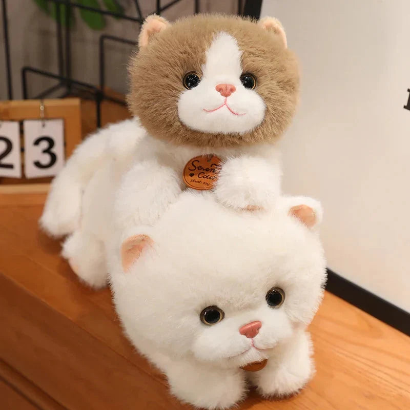 Adorable Fluffy Kitten Squad Cuddly Plush Toys