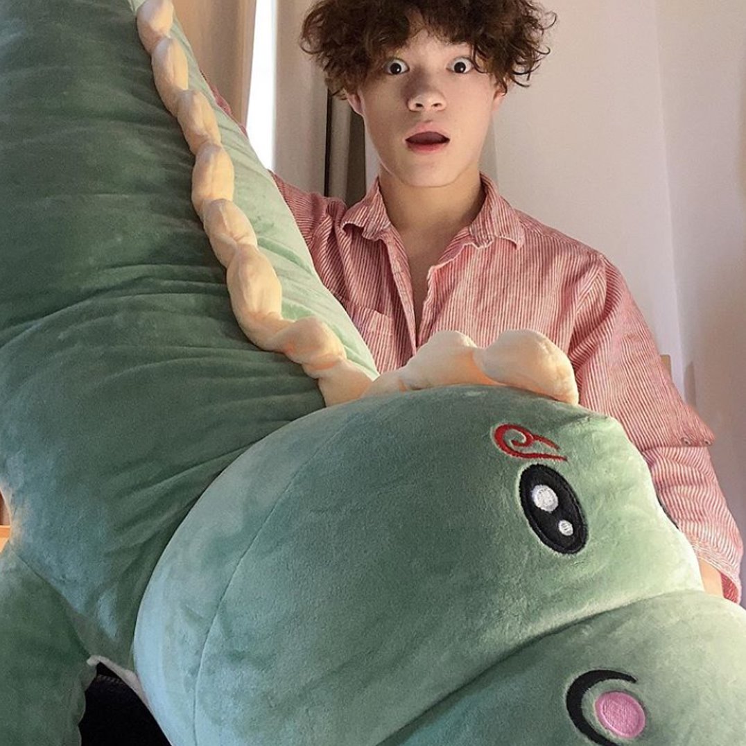 Adorable Haku the Dinosaur Plush Toy
