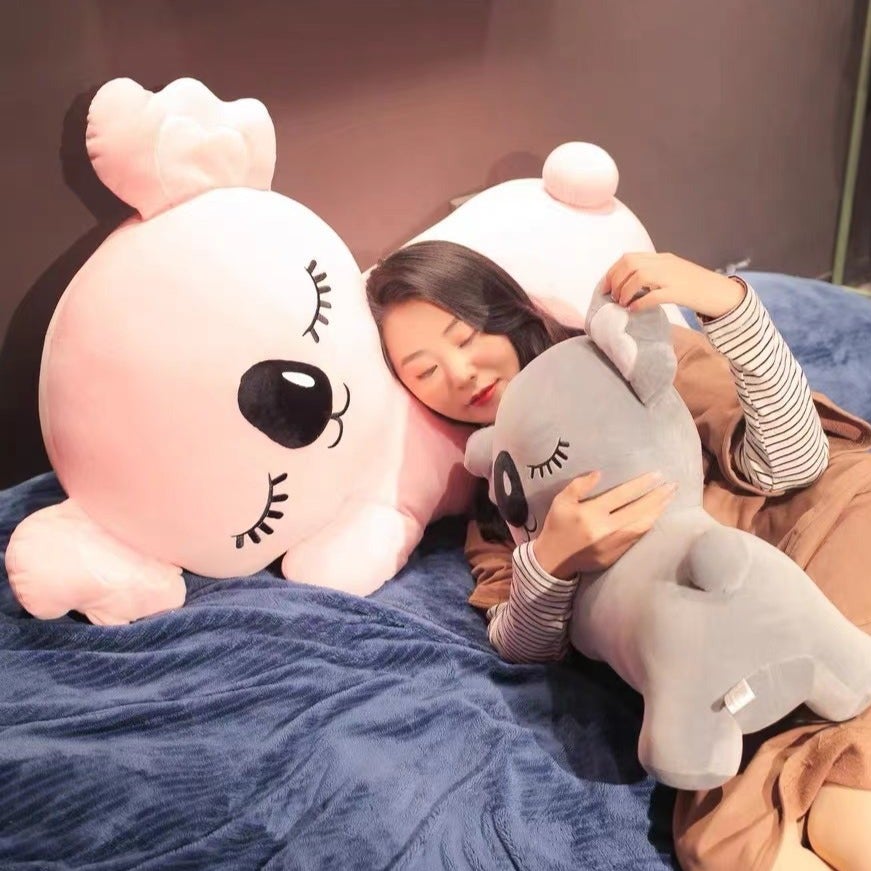 Joey & Kloe The Koala Lovers