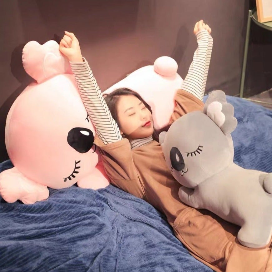 Joey & Kloe The Koala Lovers