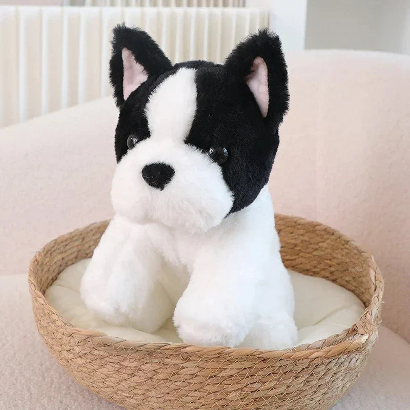 Adorable Beige and White French Bulldog Plush Toys