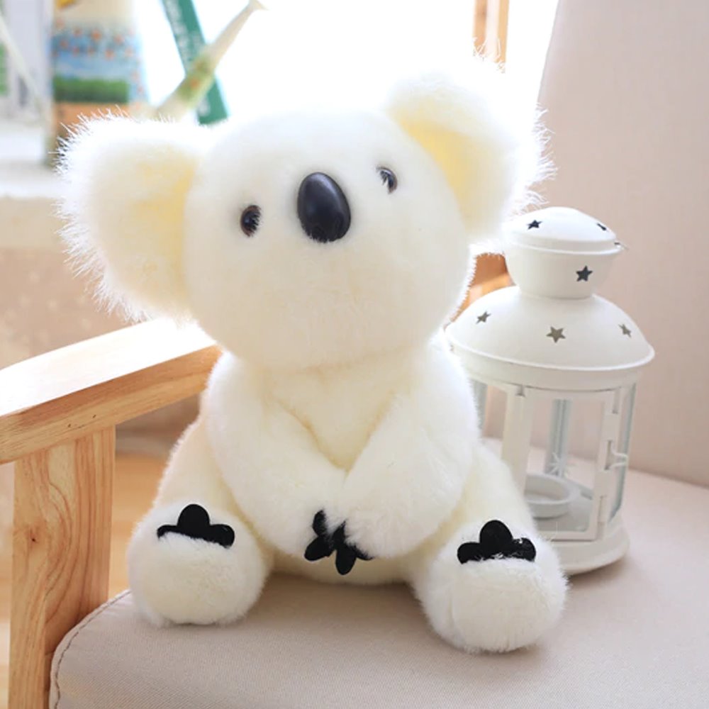 Koala Bear Family
