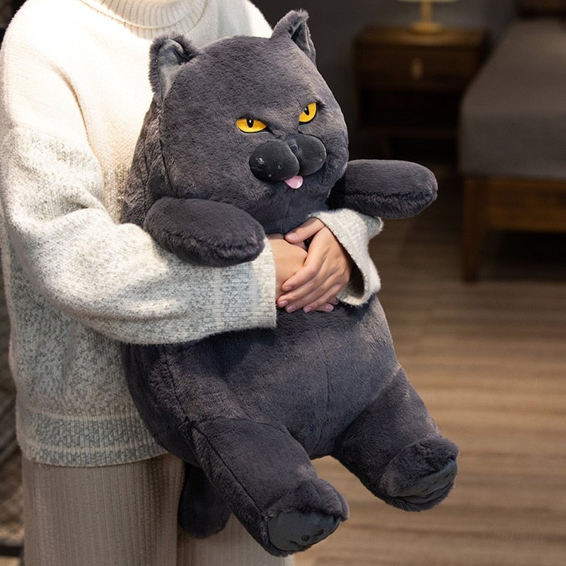 Poe the Adorable Grumpy Cat Plush Toy
