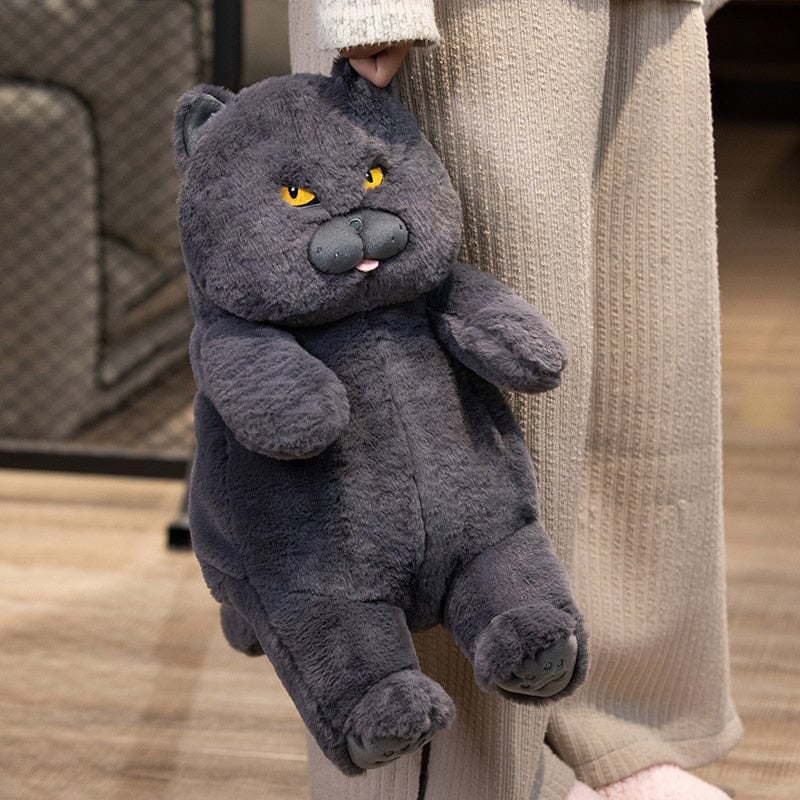 Adorable Grumpy Cat Poe Plush Toy