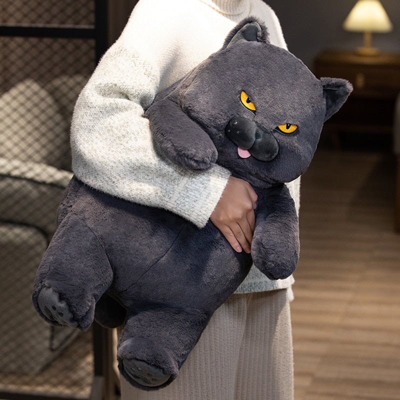 Adorable Grumpy Cat Poe Plush Toy