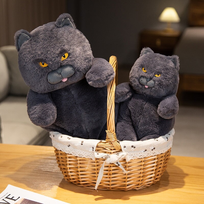 Adorable Grumpy Cat Poe Plush Toy