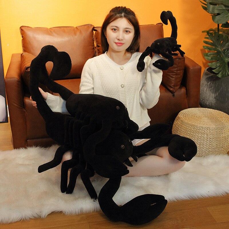 Sage the Scorpion
