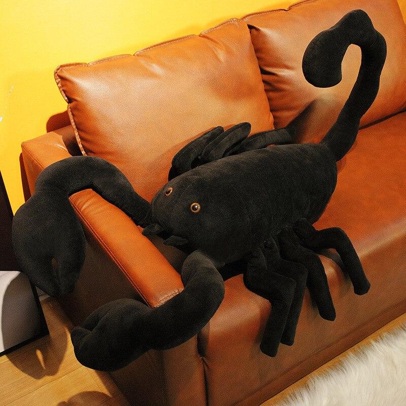 Sage the Scorpion