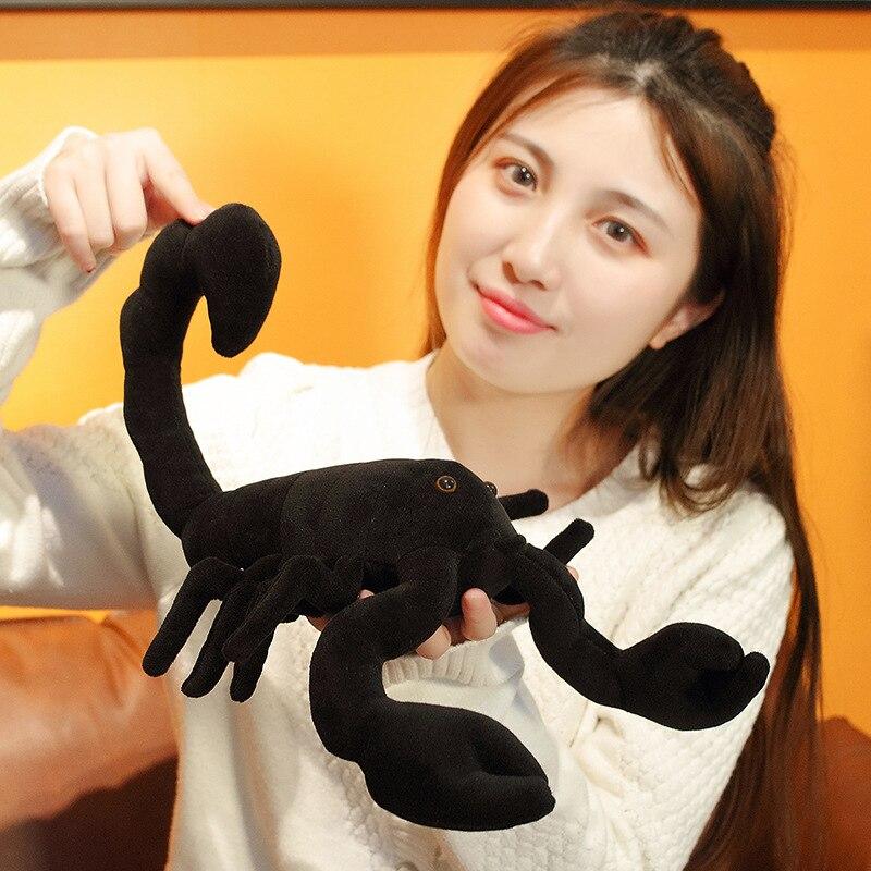 Sage the Scorpion