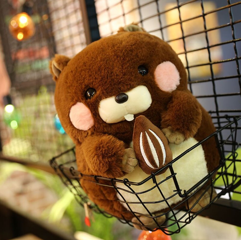 Irresistible Snacking Beaver Plushies | Limited Availability!