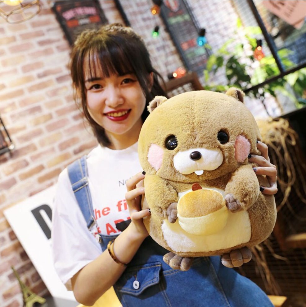 Adorable Snacking Beaver Plushies | Hurry, Limited Stock Available!