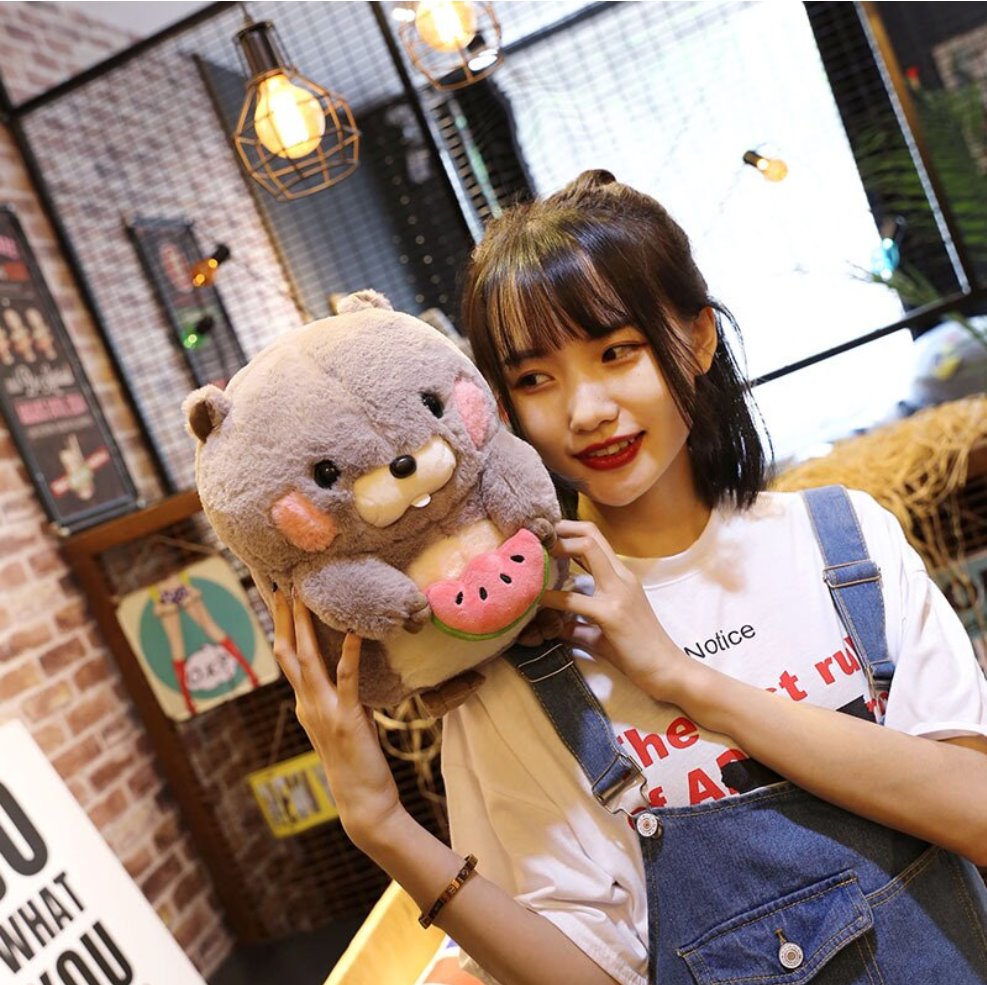 Adorable Snacking Beaver Plushies | Hurry, Limited Stock Available!