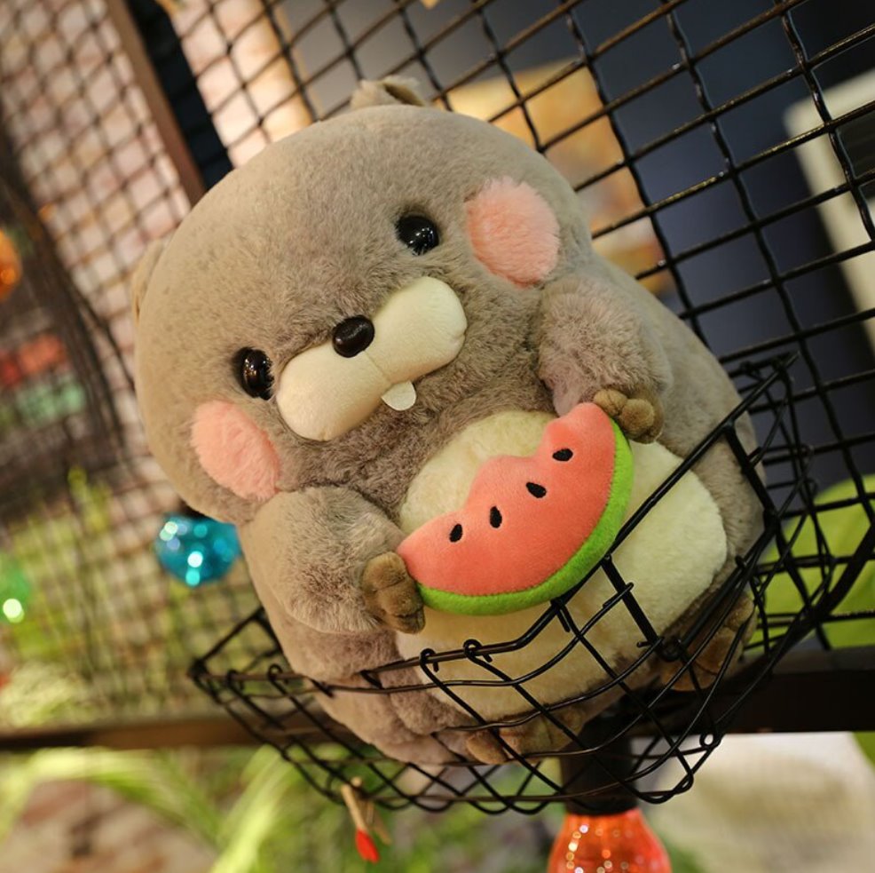 Adorable Snacking Beaver Plushies | Hurry, Limited Stock Available!