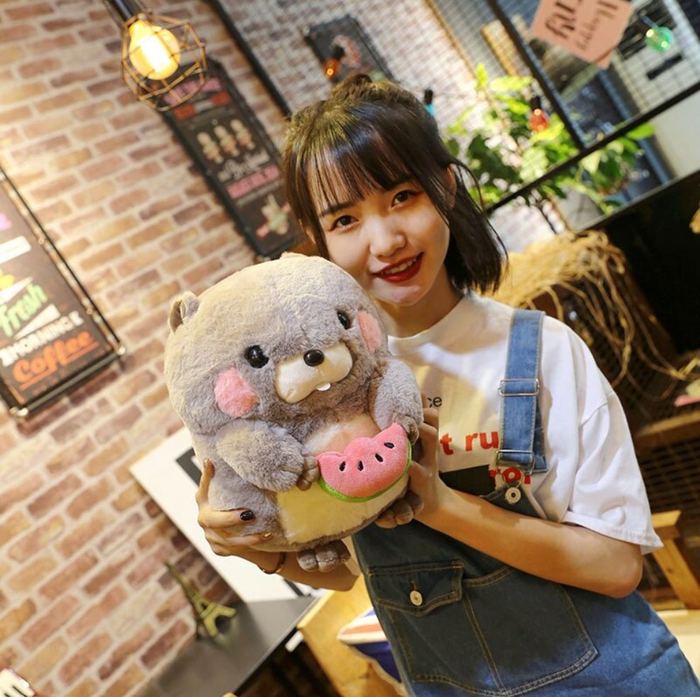 Adorable Snacking Beaver Plushies | Hurry, Limited Stock Available!