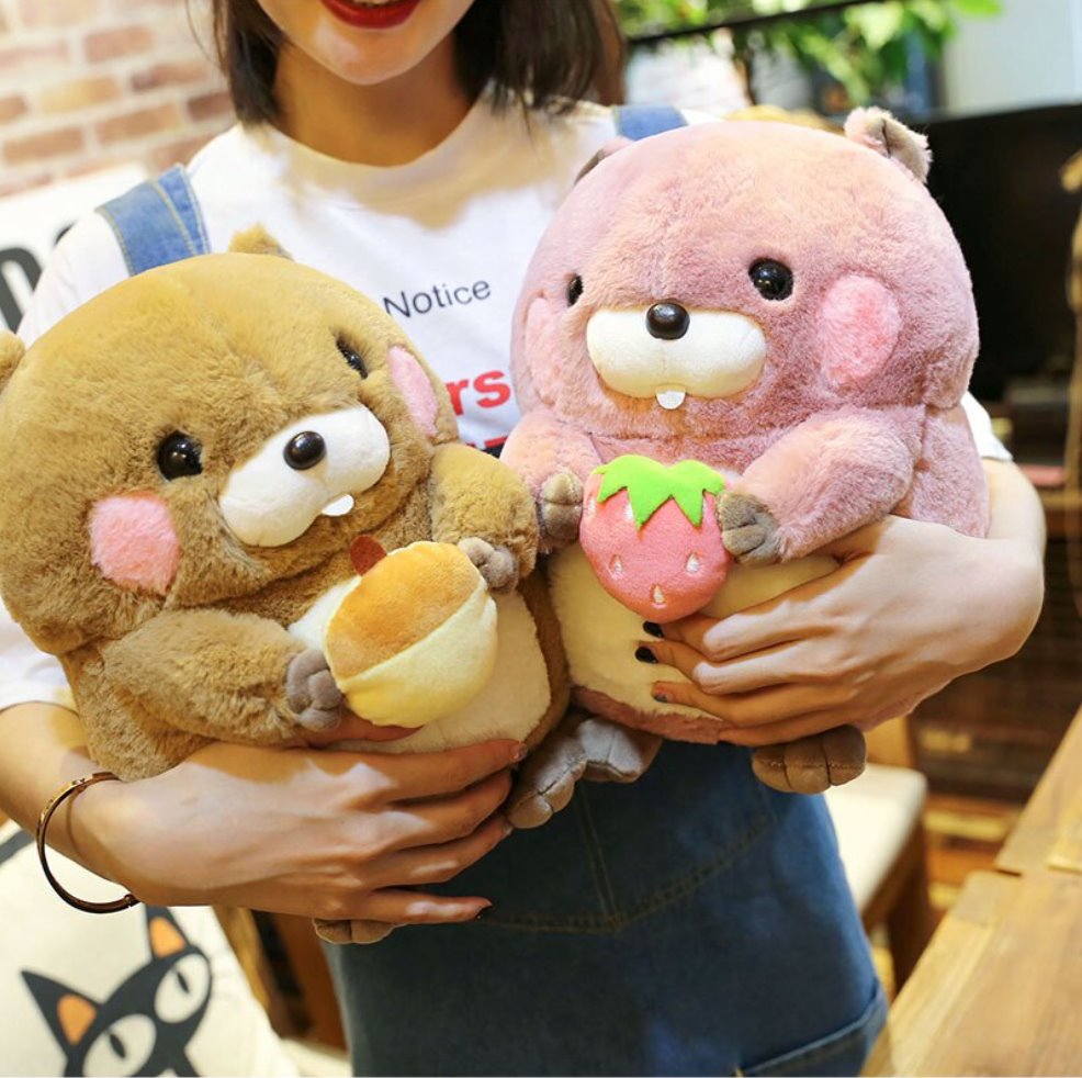 Adorable Snacking Beaver Plushies | Hurry, Limited Stock Available!