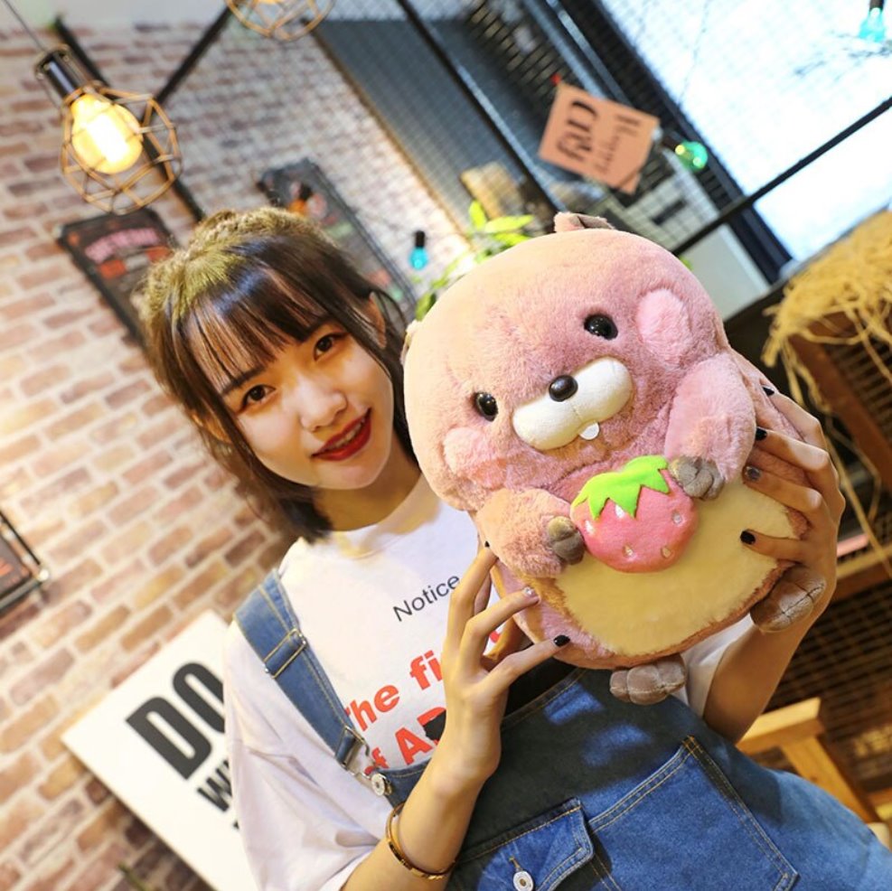 Adorable Snacking Beaver Plushies | Hurry, Limited Stock Available!