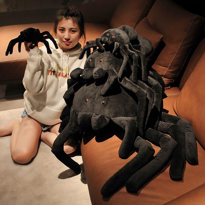 Terry the Tarantula