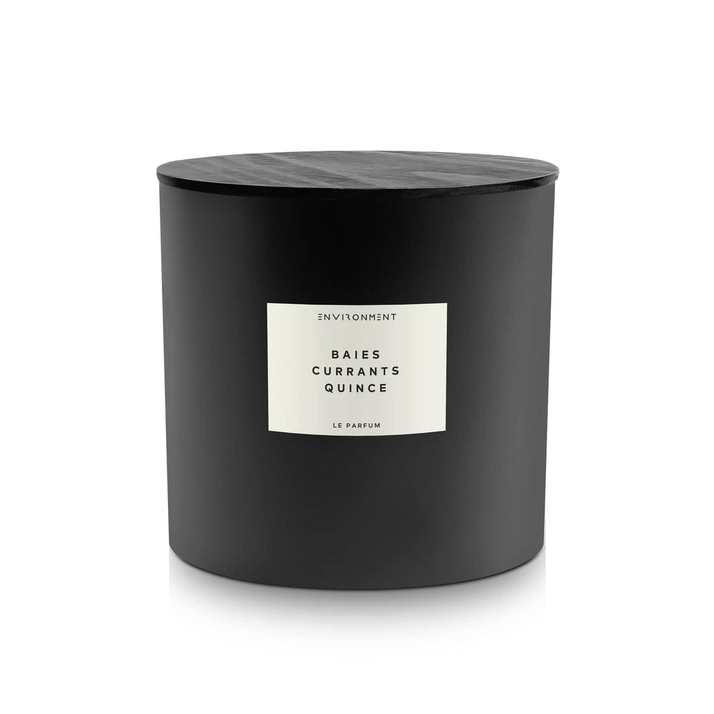 ENVIRONMENT 55oz Candle SeaWater Ozone OakMoss