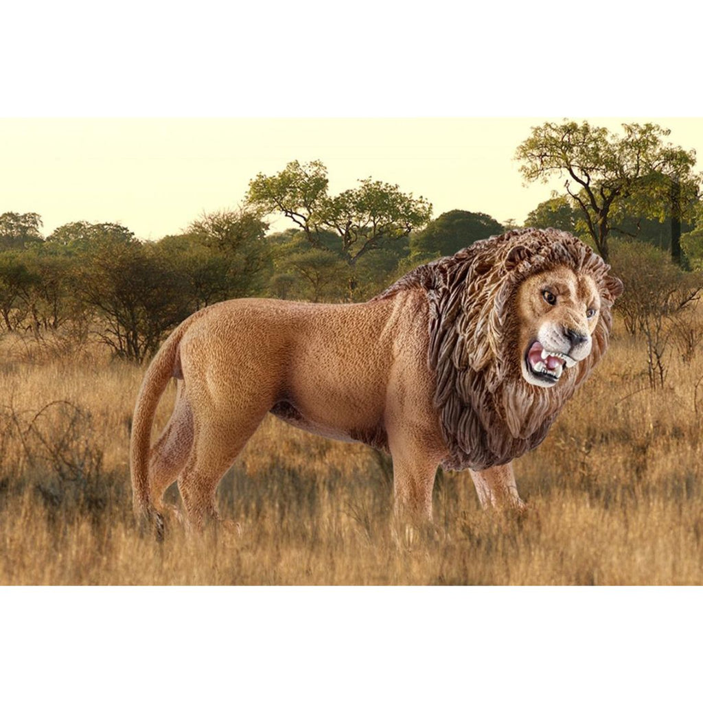 14726 Schleich Vie sauvage - Leone Ruggente