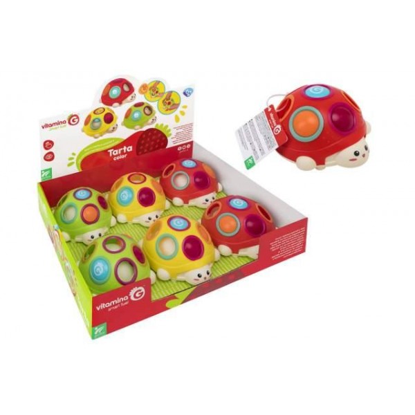 05532 - VITAMINE G - TORTUE AVEC BOUTONS - COULEUR ALÉATOIRE