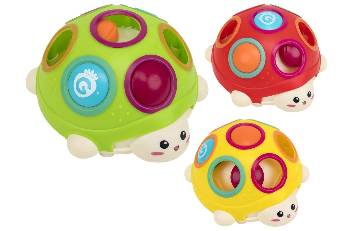 05532 - VITAMINE G - TORTUE AVEC BOUTONS - COULEUR ALÉATOIRE