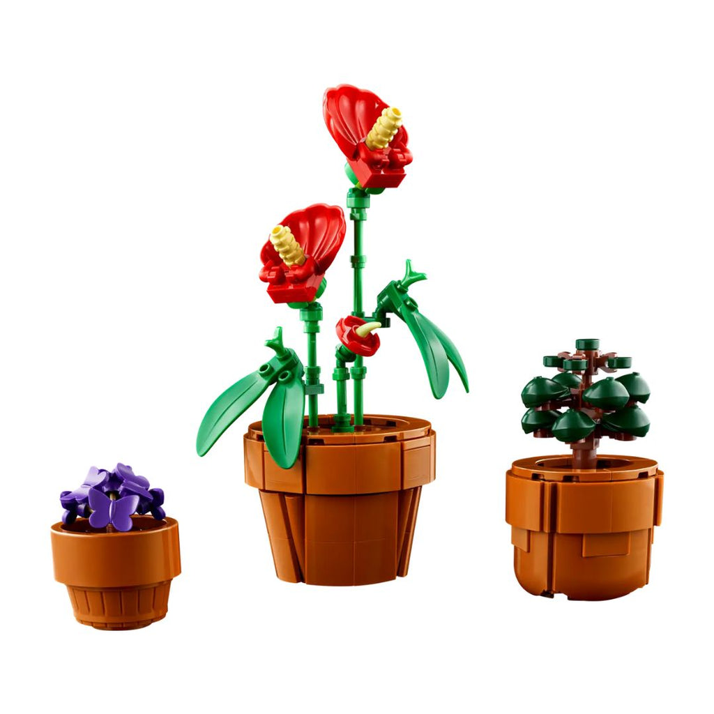 10329 LEGO Botanicals - Plantes