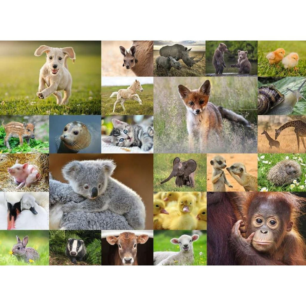 13353 Ravensburger - Les chiots du monde - Puzzle XXL - 200 pièces