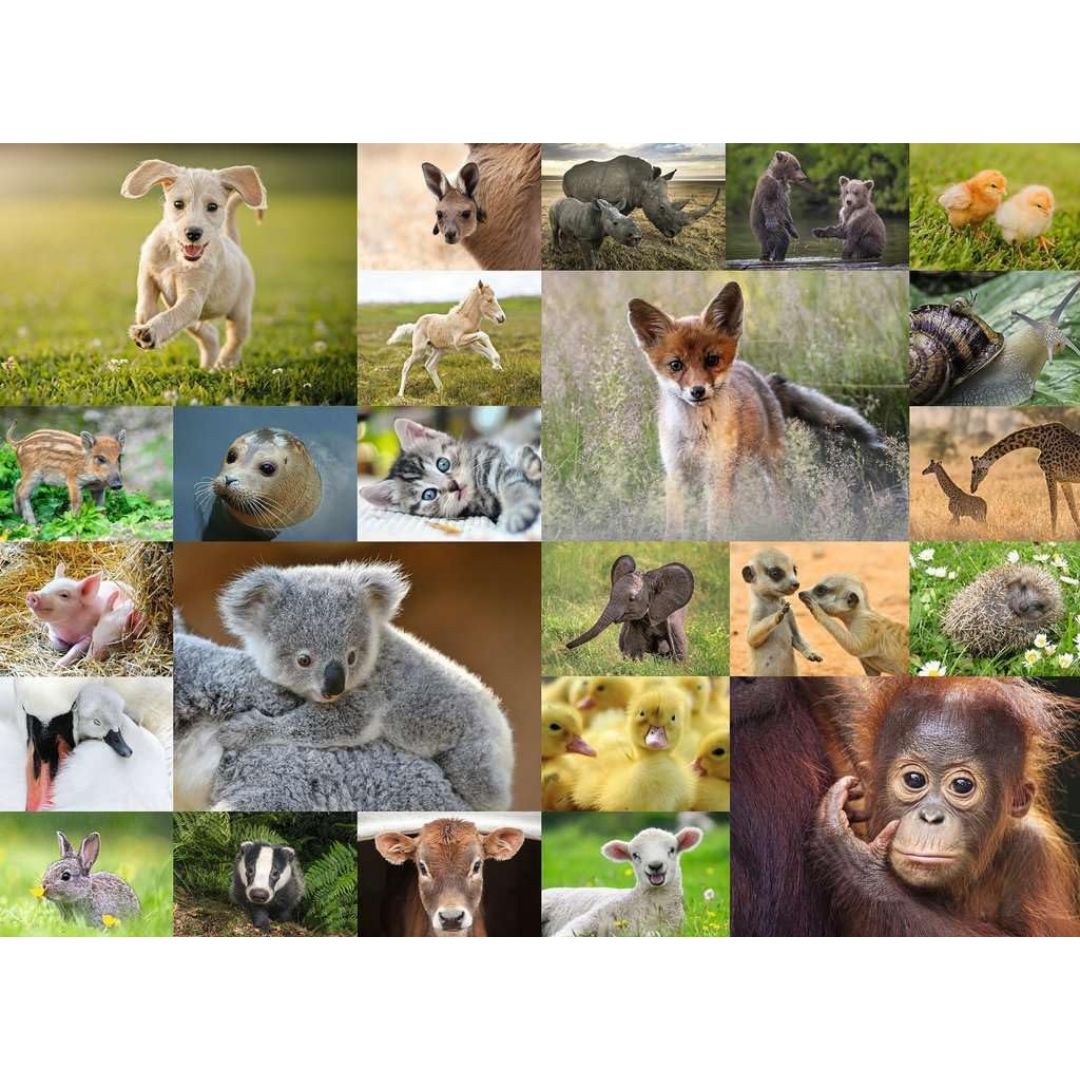 13353 Ravensburger - Les chiots du monde - Puzzle XXL - 200 pièces