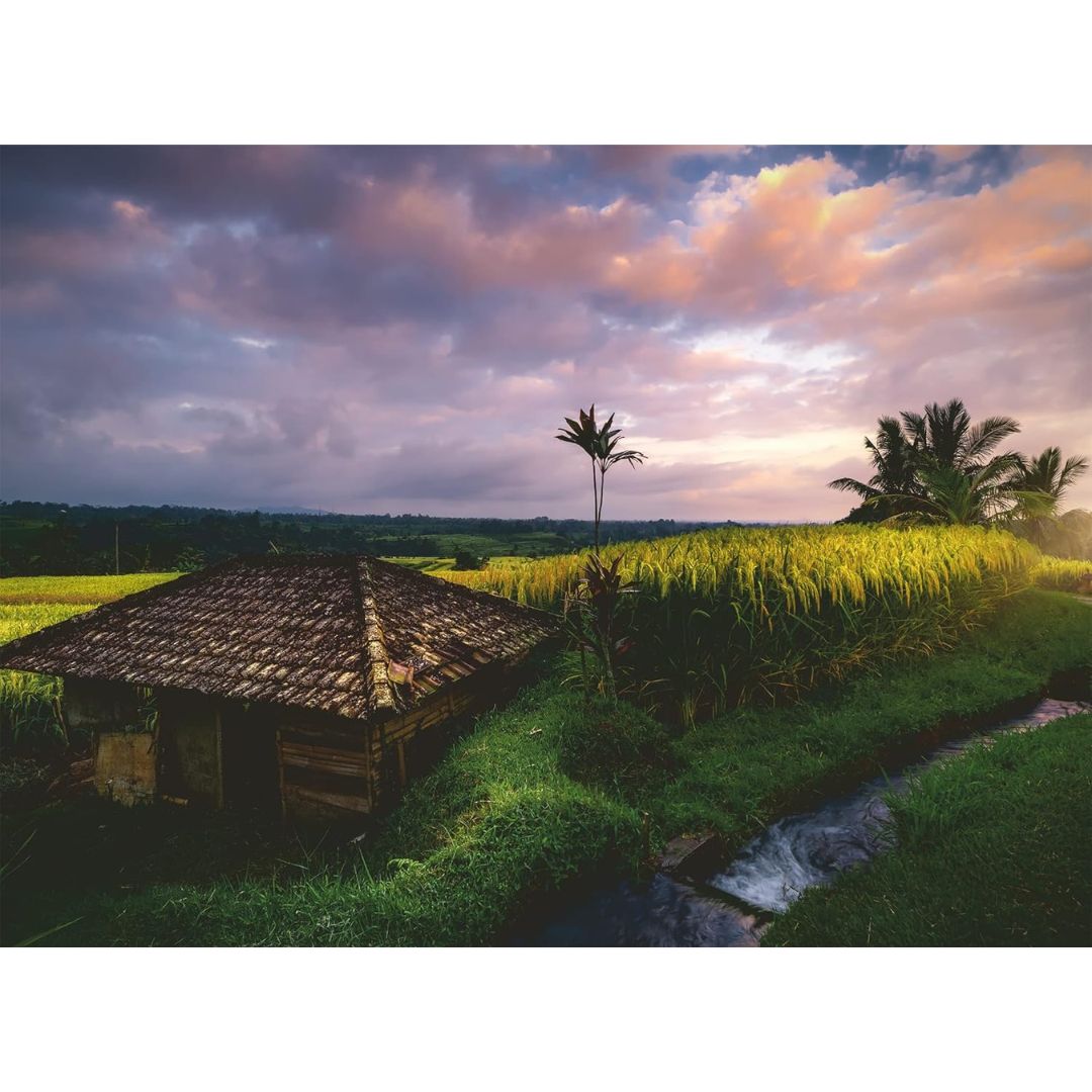 16991 Ravensburger - Rizières à Bali - Puzzle 500 pièces