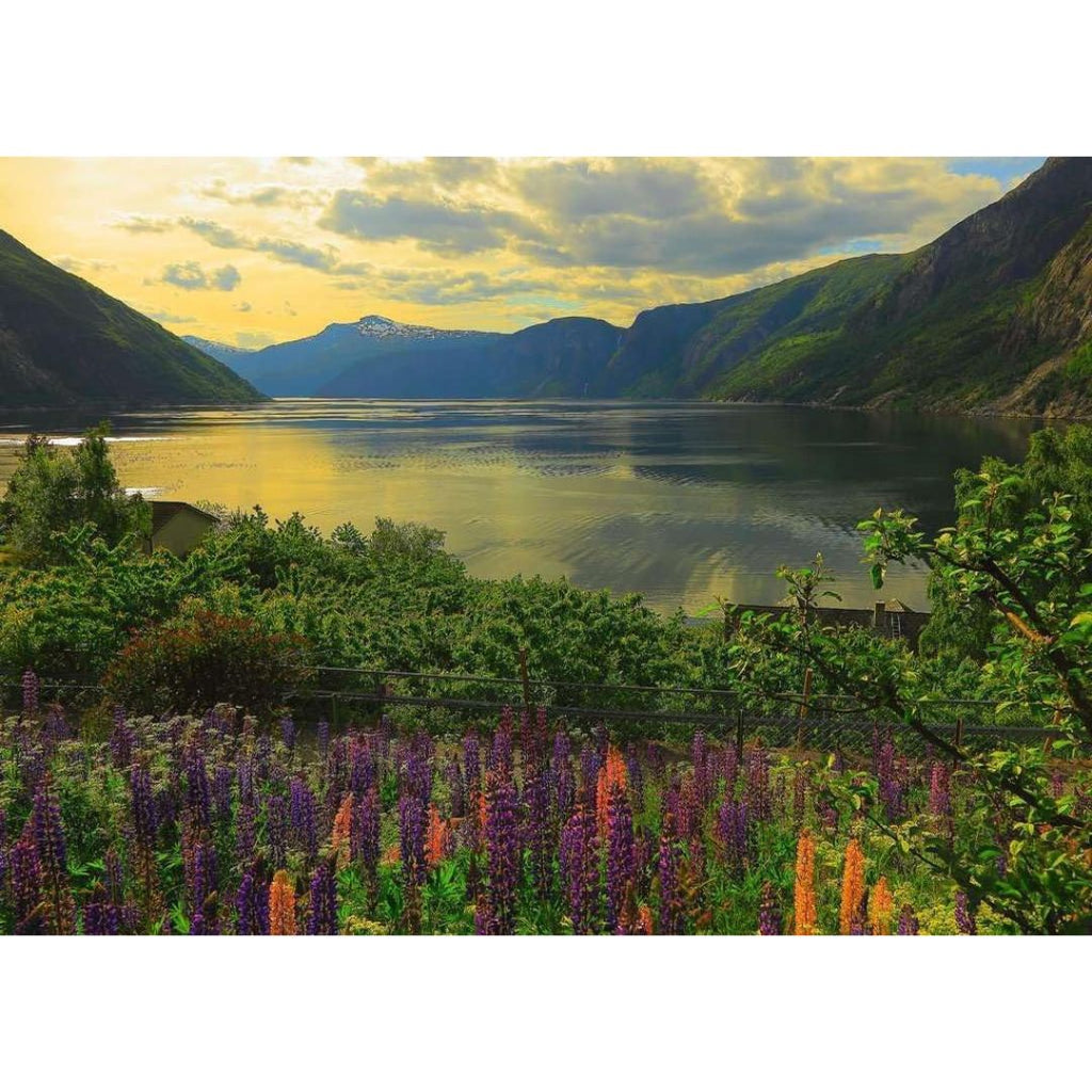 16743 Ravensburger - Fjord en Norvège - Puzzle 1000 pièces