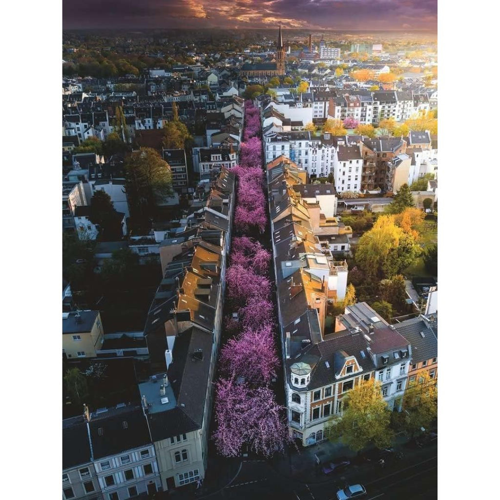 17104 Ravensburger - Bonn en fleurs - Puzzle 1500 pièces