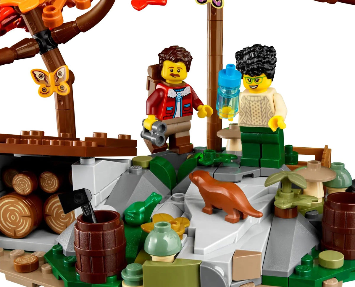 21338 LEGO Ideas - Aussi