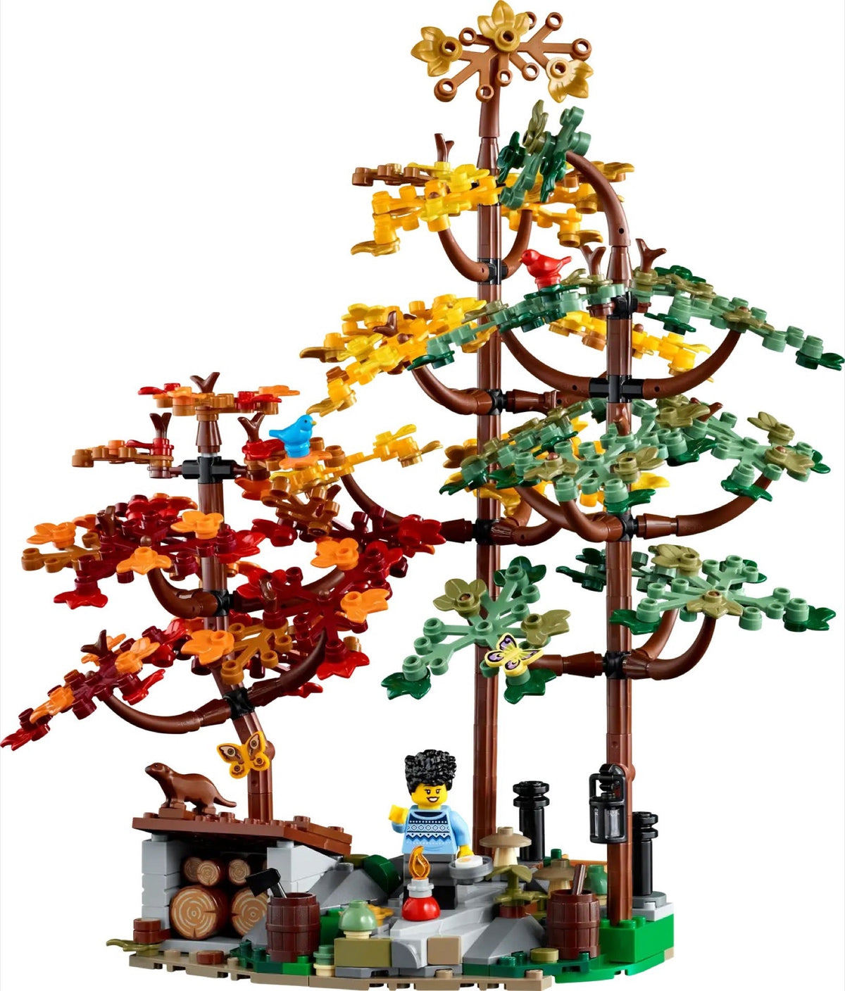 21338 LEGO Ideas - Aussi