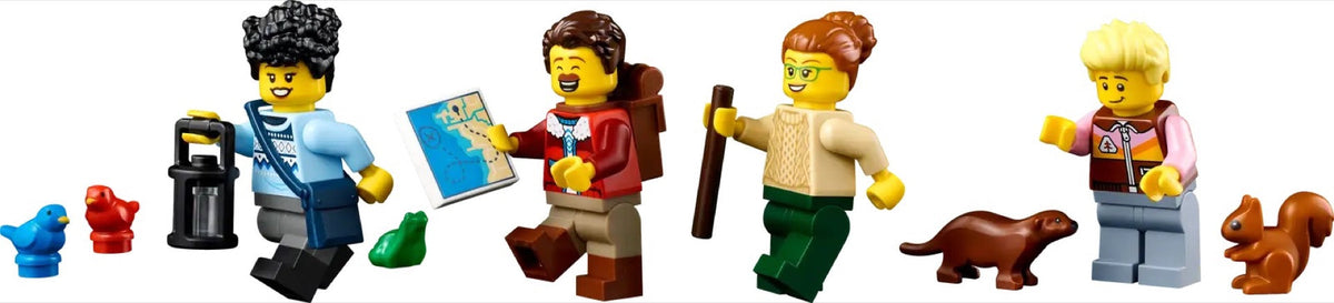 21338 LEGO Ideas - Aussi