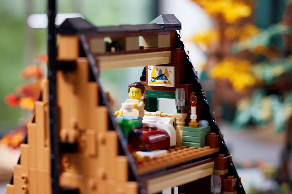 21338 LEGO Ideas - Aussi