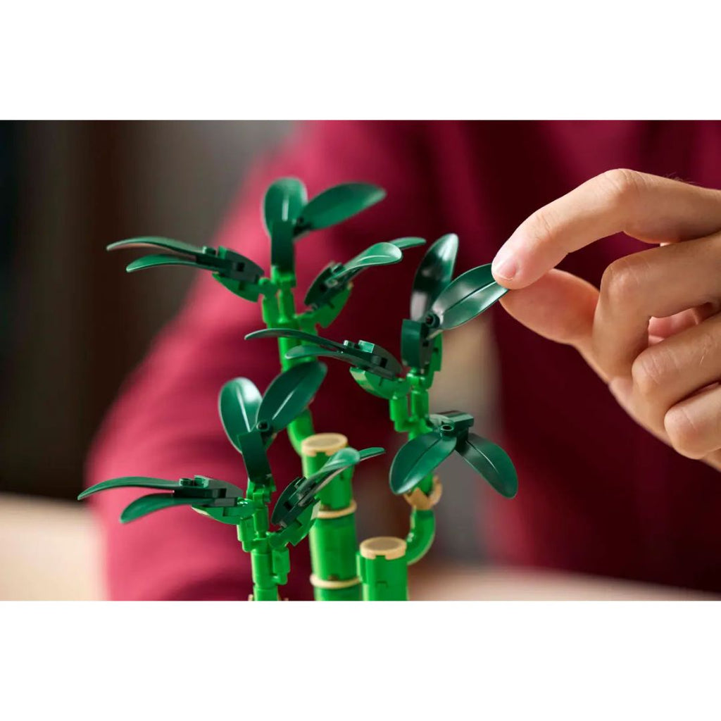 10344 LEGO La collection botanique - Bambou de bon augure